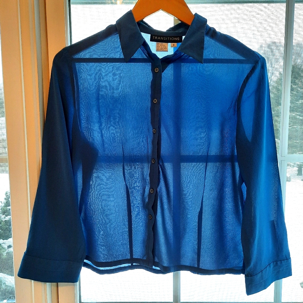 Sheer silk blouse sz 8